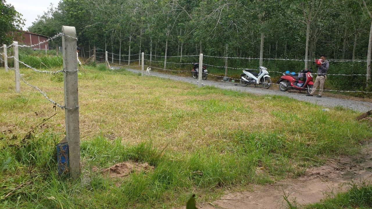 Đất thổ cư 50m² 2 mặt tiền ô tô - Vị trí đẹp Gò Dầu chỉ 450 triệu!