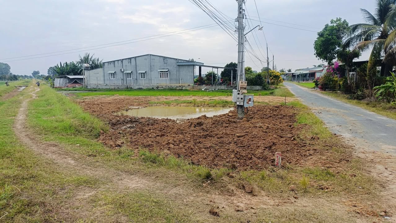 Đất vườn Long Thuận Bến Cầu 650m² giá 280 triệu - Cơ hội đầu tư tuyệt vời!