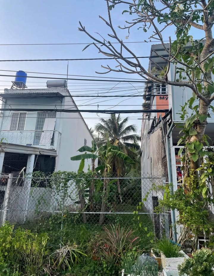 Đất mặt tiền đường Trương Vĩnh Ký Bến Tre 100m² giá 3 tỷ - Cơ hội đầu tư hiếm có!