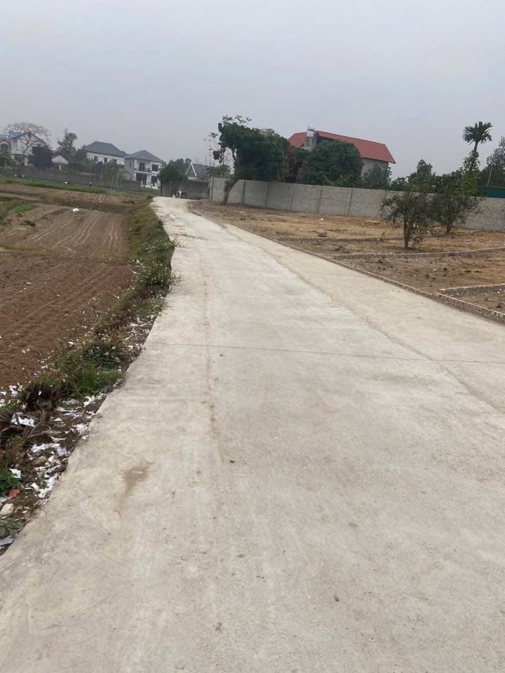 Đất nền 155m² tại Danh Thắng, Hiệp Hòa - Giá tốt, cơ hội đầu tư!