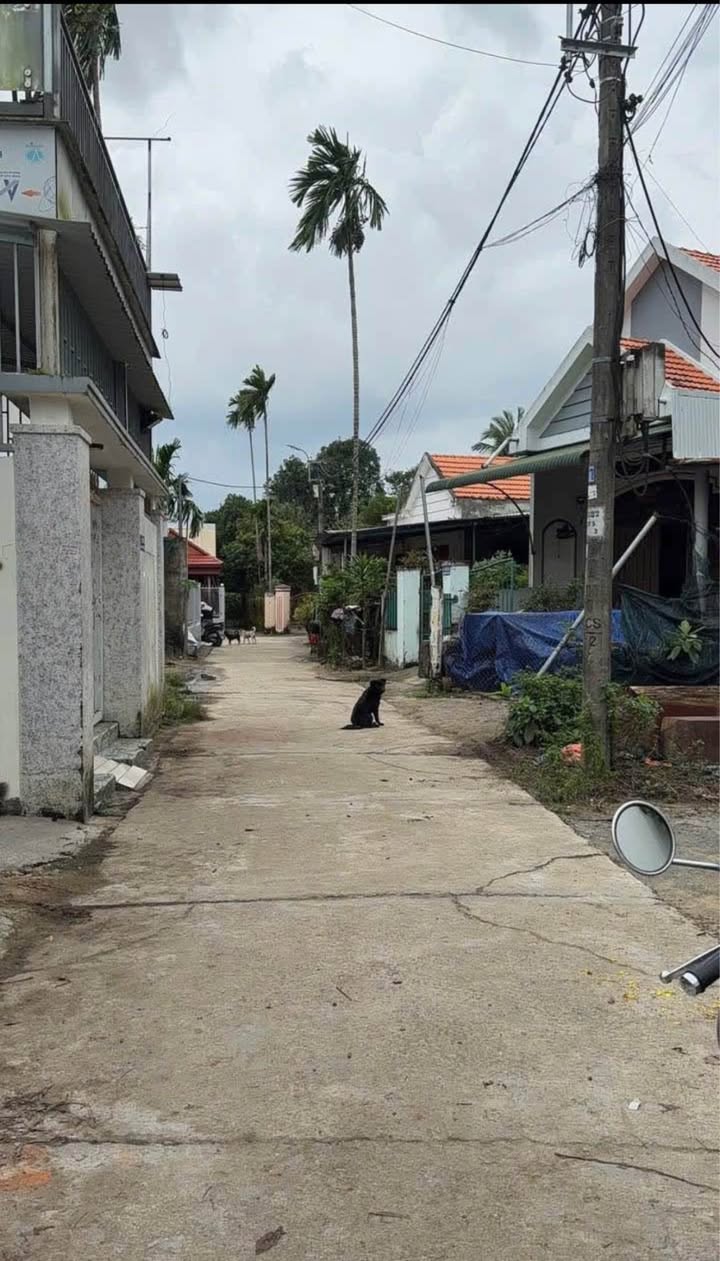 Đất nền quận Quảng Ngãi 103m² giá chỉ 9xx triệu - Đầu tư sinh lời ngay!