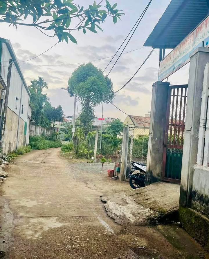 Đất hẻm ô tô Nguyễn Du, Quảng Ngãi 130m² chỉ 1.5 tỷ - Vị trí siêu trung tâm!