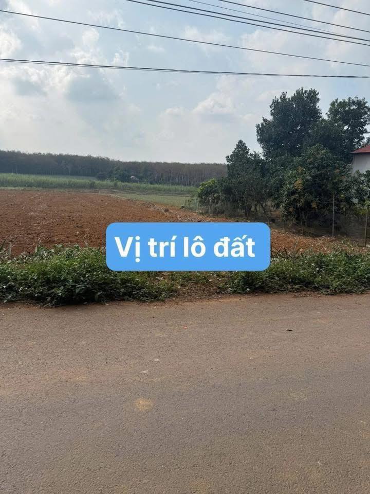 Đất thổ cư 250m² tại Ngọc Lặc, giá chỉ 4xx triệu - Cơ hội đầu tư tuyệt vời!