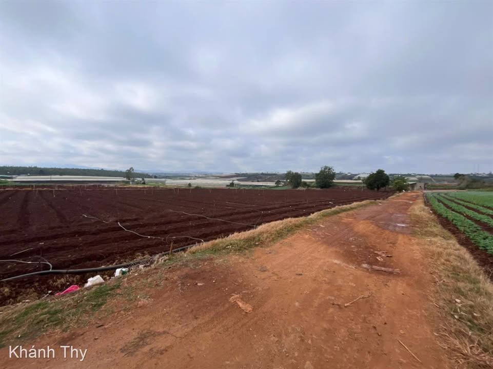 Đất nền Thạnh Mỹ, Đơn Dương 2800m² giá 3.8 tỷ - Cơ hội đầu tư hấp dẫn!