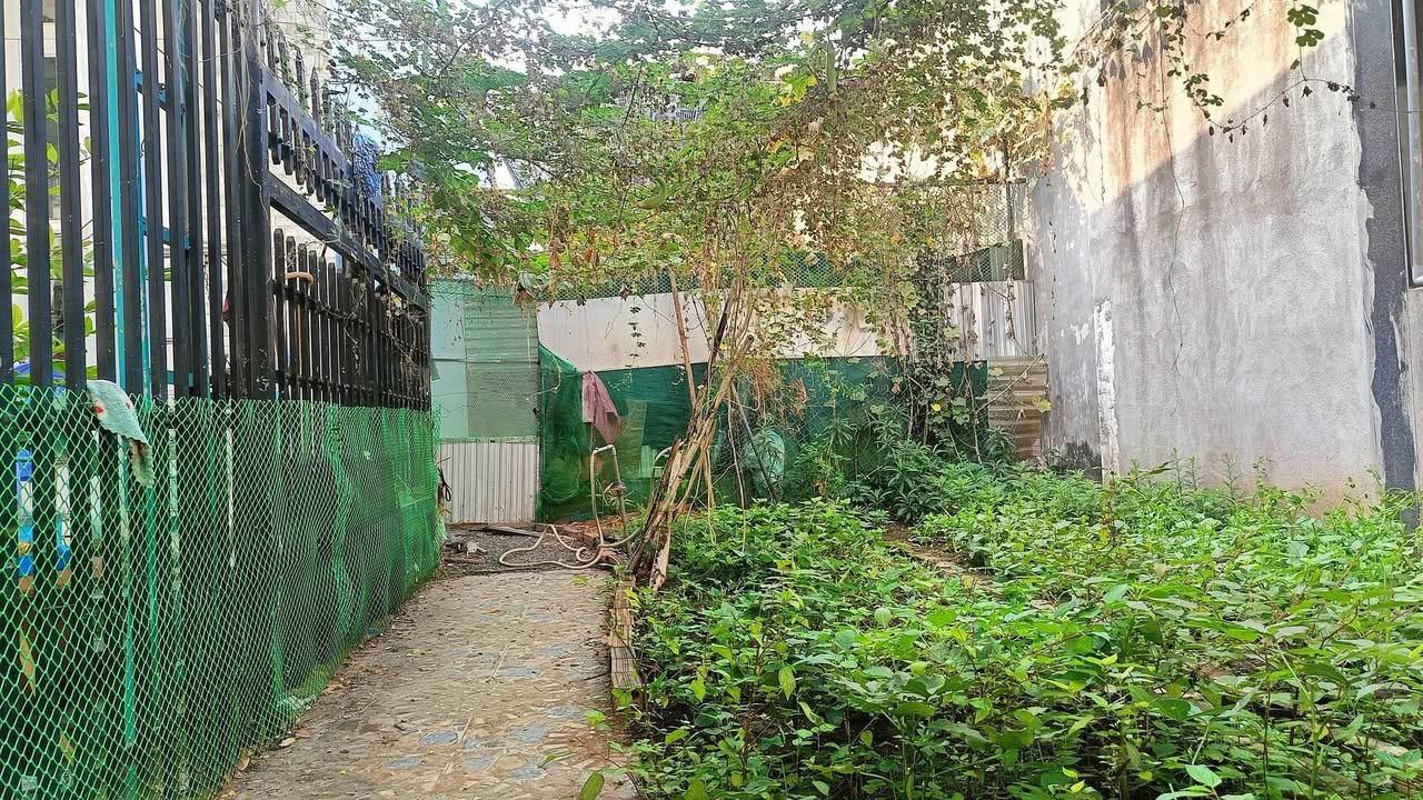 Đất thổ cư 80m² tại phường Trấn Biên - Giá 3.3 tỷ, sổ hồng chính chủ!