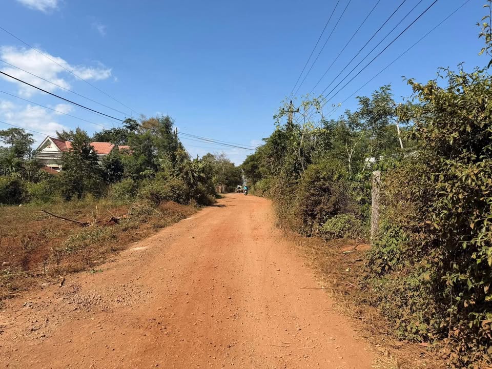 Đất nền liền kề tại thị trấn Quảng Phú, Đắk Lắk - Diện tích 165m², giá chỉ 550 triệu