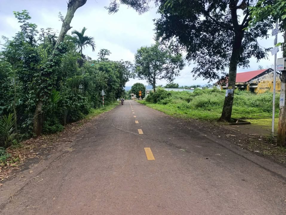 Lô đất góc 2 mặt tiền Buôn Hrat 152m² giá 1.6 tỷ - Đầu tư sinh lời ngay!