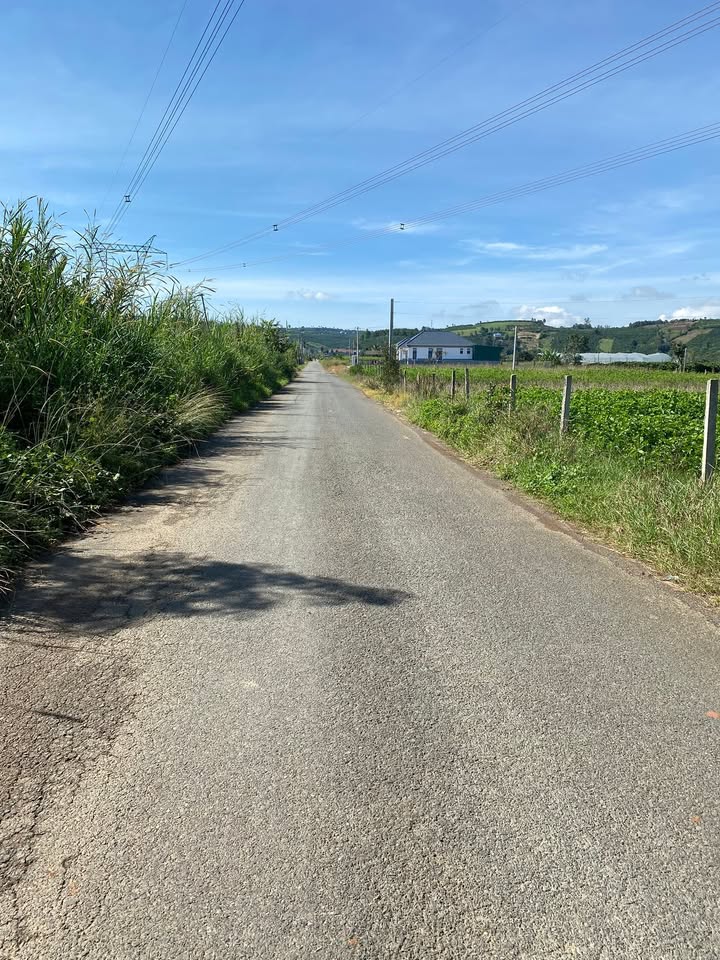 Đất thổ cư Tân Hội 1300m² giá 2.2 tỷ - Đầu tư sinh lời tuyệt vời!