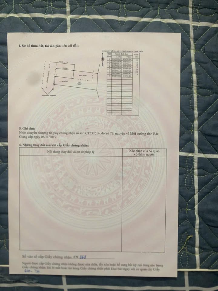 Đất thổ cư 60m² tại Tỉnh lộ 289, Bắc Ninh - Chỉ 1 tỷ cho 2 lô kinh doanh!