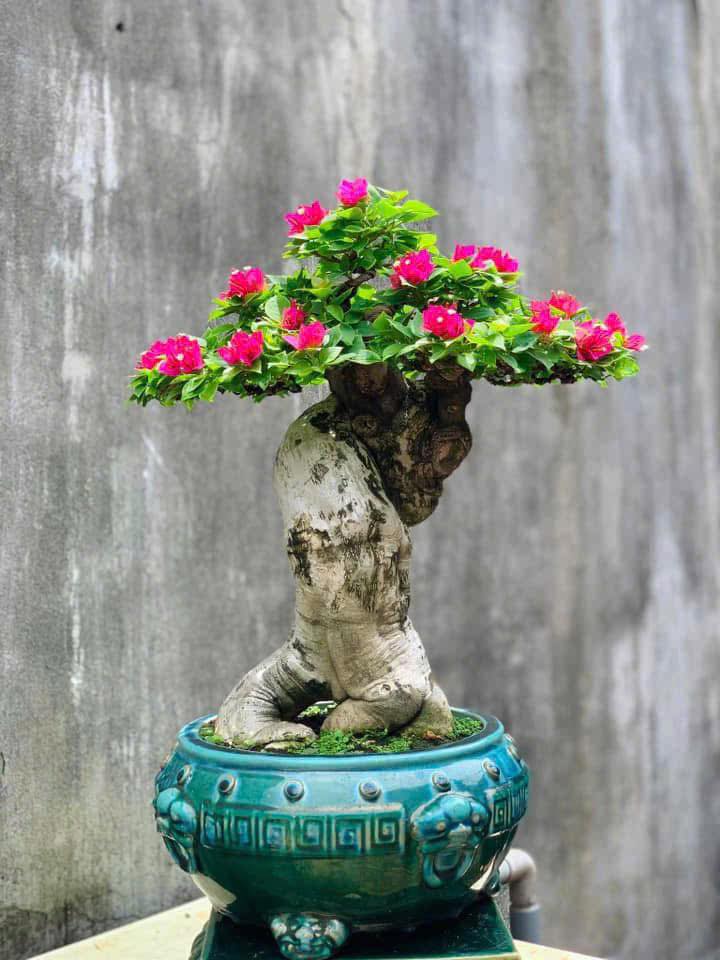 Đất nền Làng Đại Học Đà Nẵng 88.64m² giá 2.2 tỷ - Đầu tư sinh lời ngay!