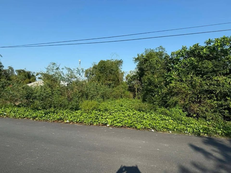 Đất nền thổ cư Nam Sơn 200m² giá 3.1 tỷ - Cơ hội đầu tư tuyệt vời!