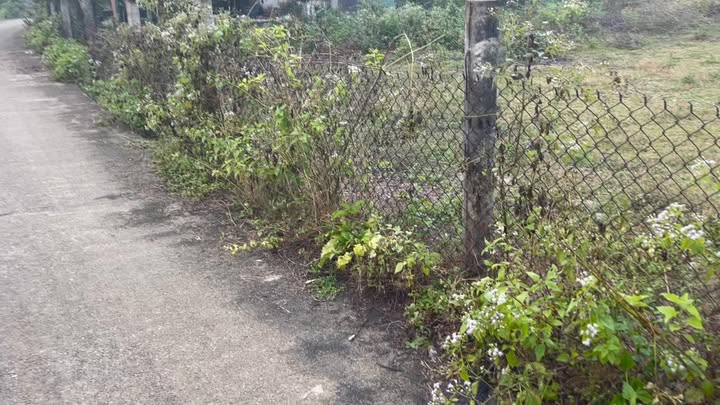 Đất vườn Thôn Lạc Câu, Bình An, 1100m² giá 1.5 tỷ - Đầu tư lý tưởng!