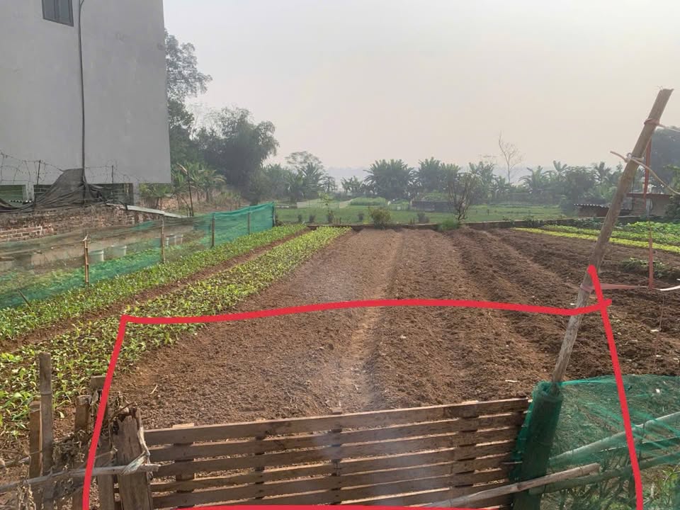 Đất nền Xã Thanh Minh Phú Thọ 100m² - Cơ hội đầu tư hấp dẫn!