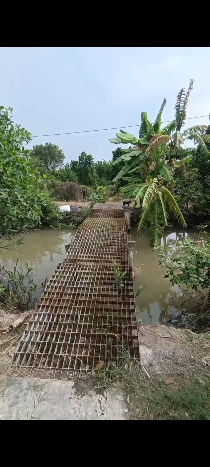 Farm đất đẹp Hậu Mỹ Trinh 9115m² giá 600 triệu - Pháp lý rõ ràng, sẵn sàng giao dịch!