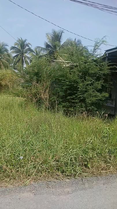 Đất nền mặt tiền đường nhựa xã Bình Phan, 160m² giá 300 triệu - Sổ hồng riêng chính chủ!