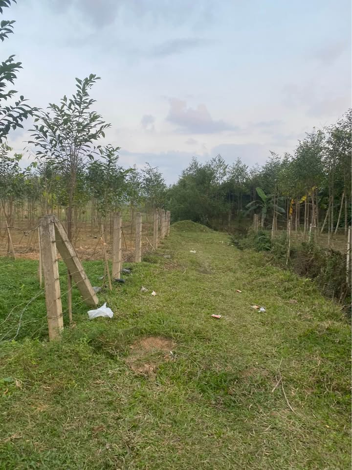 Đất nền Xã Phúc Trạch 720m² giá 300 triệu - Pháp lý rõ ràng, sổ đỏ chính chủ!