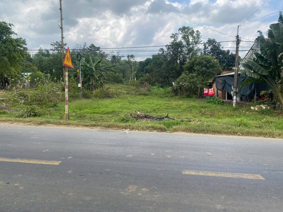 FrontHouse mặt tiền Quốc lộ 29, Xã Đức Bình Đông, 1200m² - Vị trí kinh doanh đắc địa!