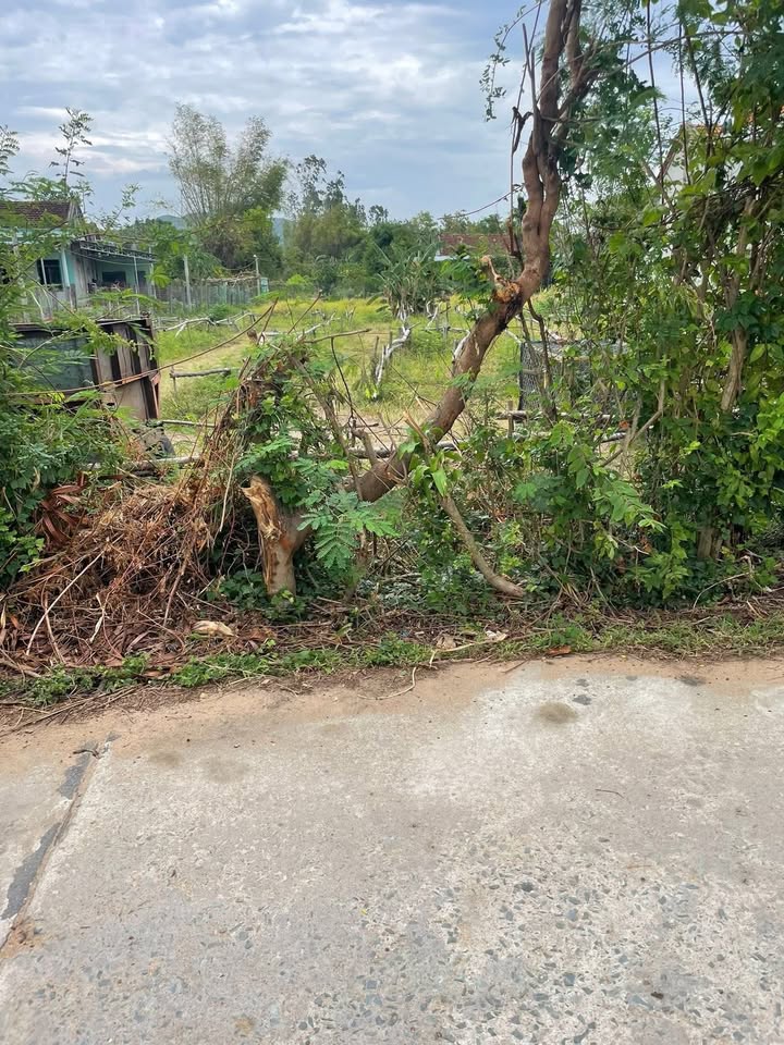 Đất thổ cư 312m² tại Hòa Mỹ Đông, Tây Hòa - Giá chỉ 700 triệu!