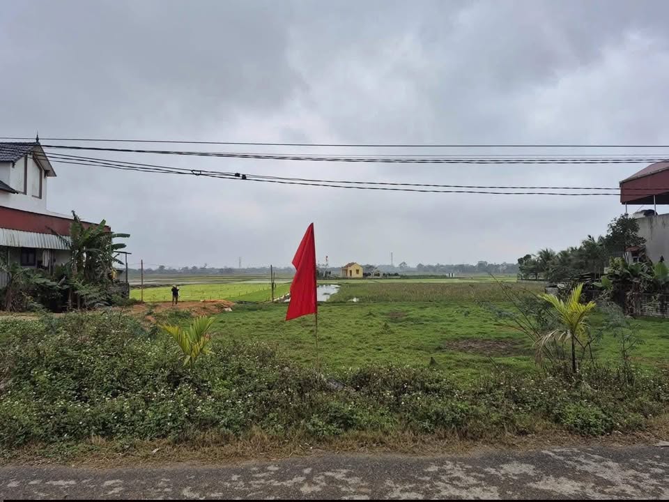 Đất nền đẹp tại xã Xuân Thọ, huyện Triệu Sơn 110m² - Đầu tư sinh lời ngay!