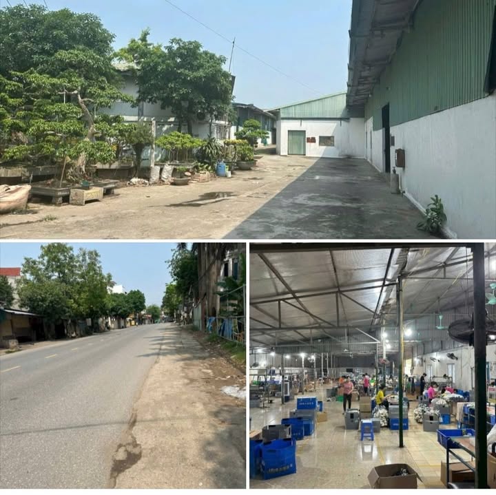 Cho thuê xưởng 1000m² tại Chấn Hưng, Vĩnh Tường - Giá cả hợp lý