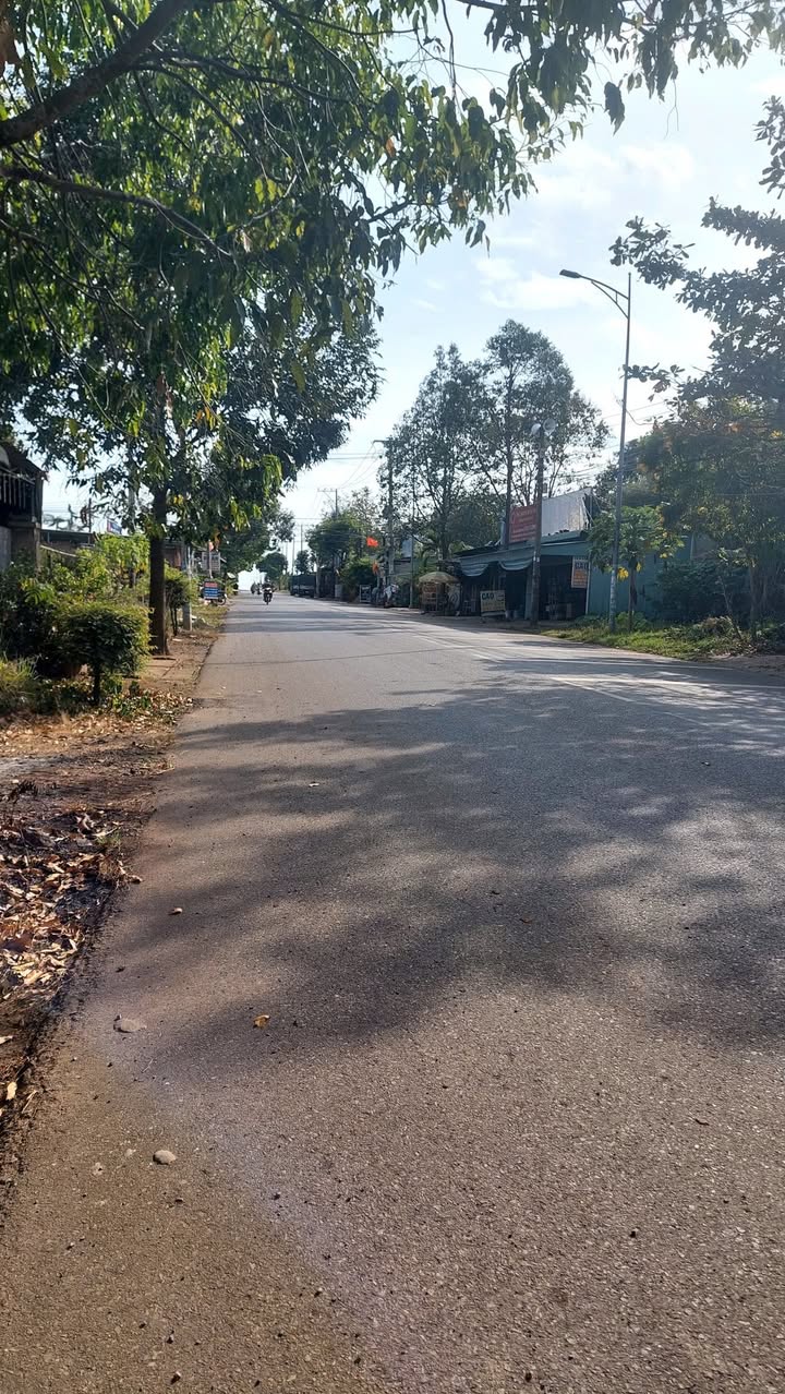 Nhà cấp 4 Hương Lộ 2, Thủ Đức 222m² giá 2.4 tỷ - Đầu tư sinh lời ngay!