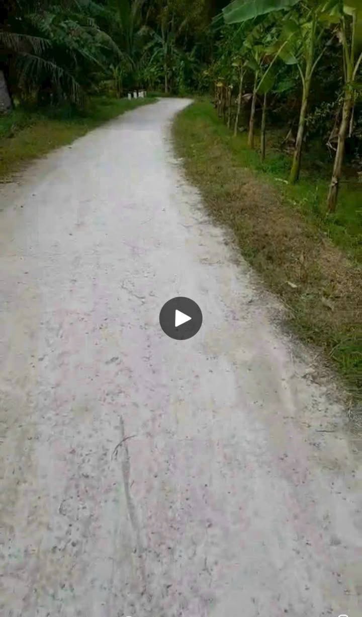 Đất nông nghiệp mặt tiền 31m tại Nhuận Phú Tân, 7100m² chỉ 3.85 tỷ - Đầu tư sinh lời!