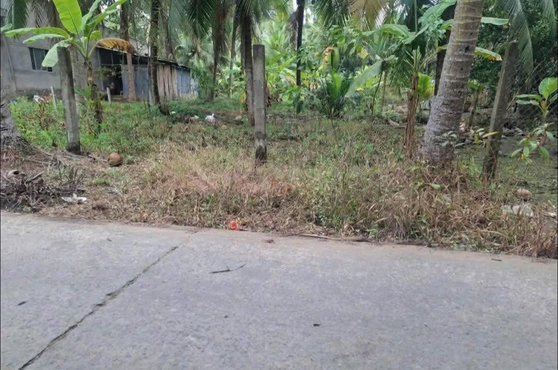 Đất nền 500m² tại Ấp Thành An, Mỏ Cày Bắc chỉ 500 triệu - Cơ hội đầu tư không thể bỏ lỡ!