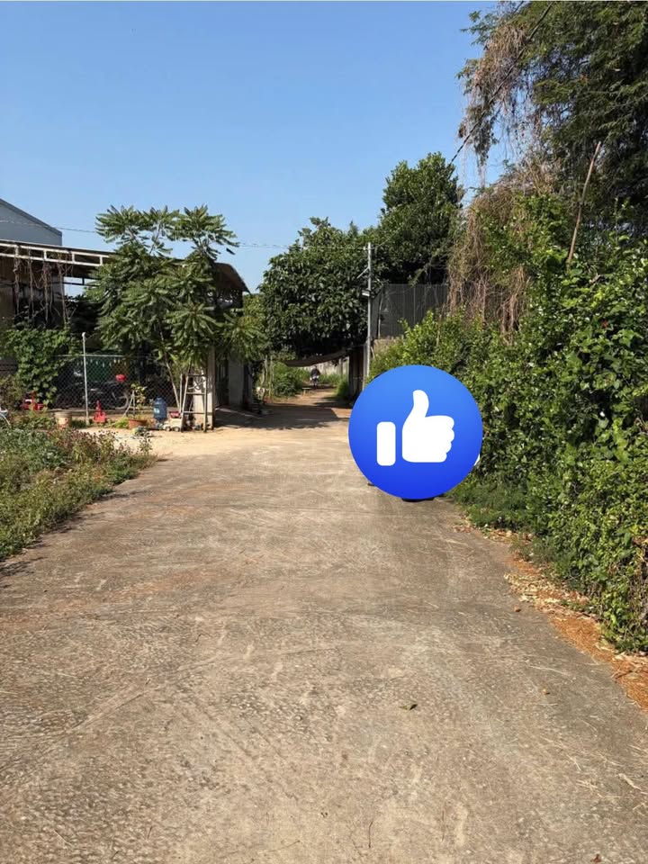 Đất nền thổ cư 150m² tại thị trấn Đất Đỏ giá chỉ 750 triệu - Cơ hội đầu tư hấp dẫn!