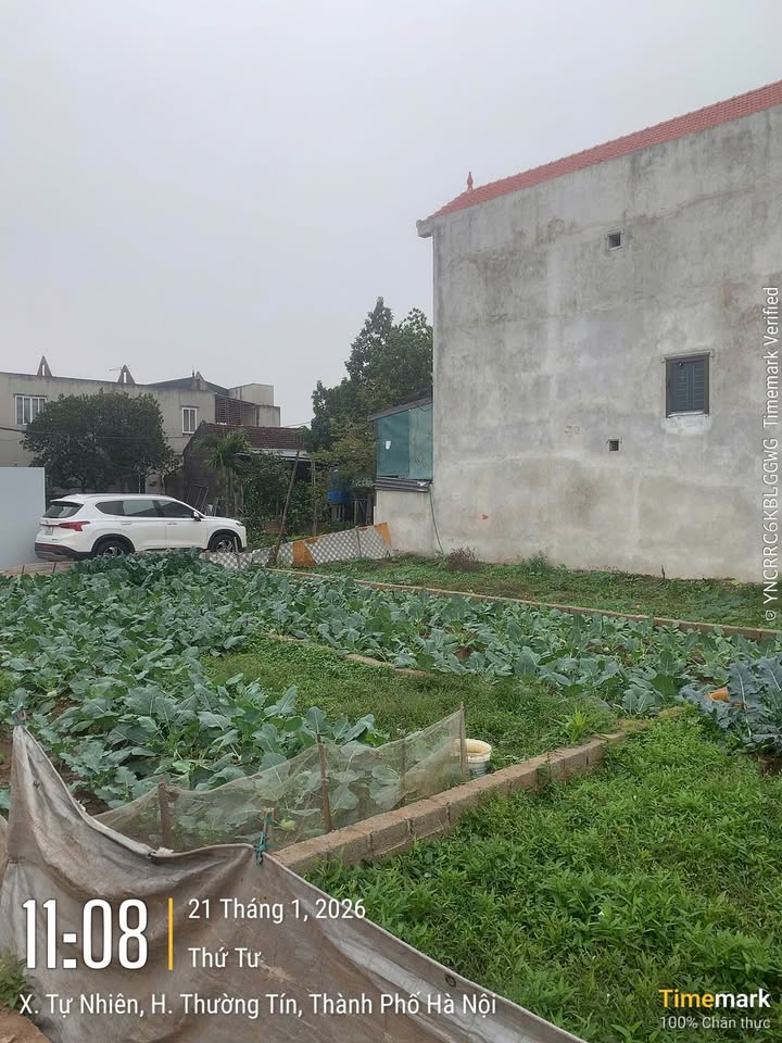 Đất nền Tự Nhiên, Thường Tín 55.6m² giá 3.4 tỷ - Đường thông ô tô đỗ cửa!