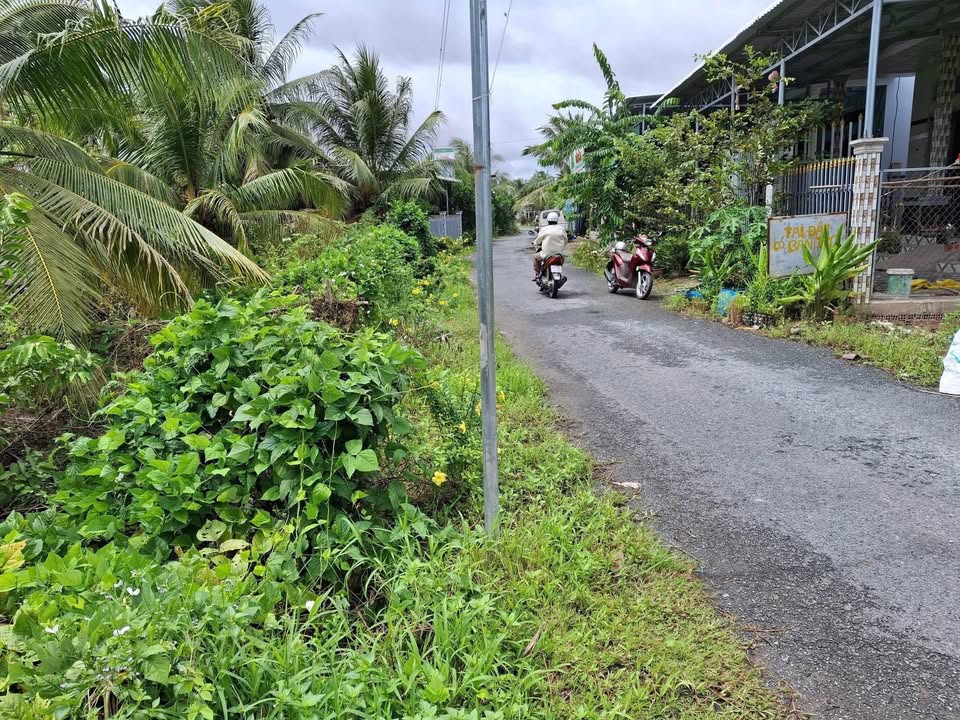 Đất mặt tiền Quốc lộ 54, xã Tân Bình, 2200m² - Cơ hội đầu tư tốt!