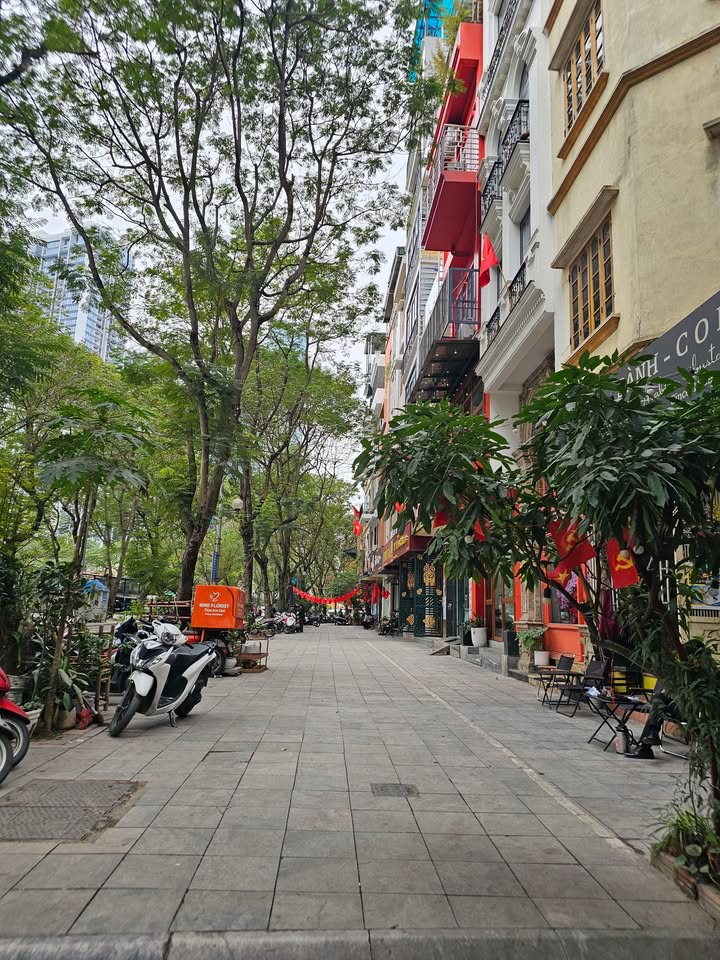 Nhà mặt phố Vạn Bảo Ba Đình 60m² giá 40 tỷ - Cơ hội đầu tư hiếm có!