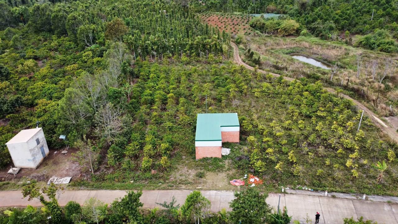 Đất Farm Phường Ea Tam 2600m² giá chỉ 1.2 tỷ - Cơ hội đầu tư tuyệt vời!