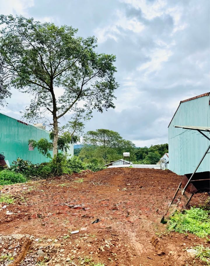 Đất thổ cư Măng Đen 182m² giá 8 tỷ - View rừng nguyên sinh tuyệt đẹp!