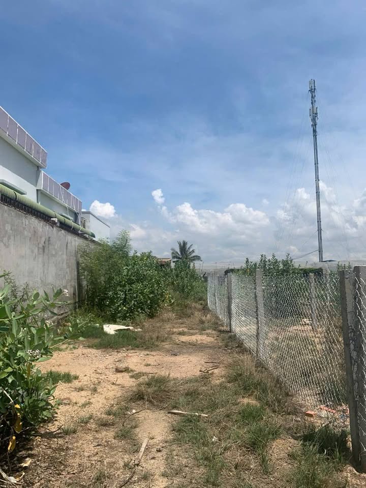 Đất nền 290m² Đường Số 5, Huyện Thuận Nam, Ninh Thuận giá 500 triệu - Cơ hội đầu tư tuyệt vời!