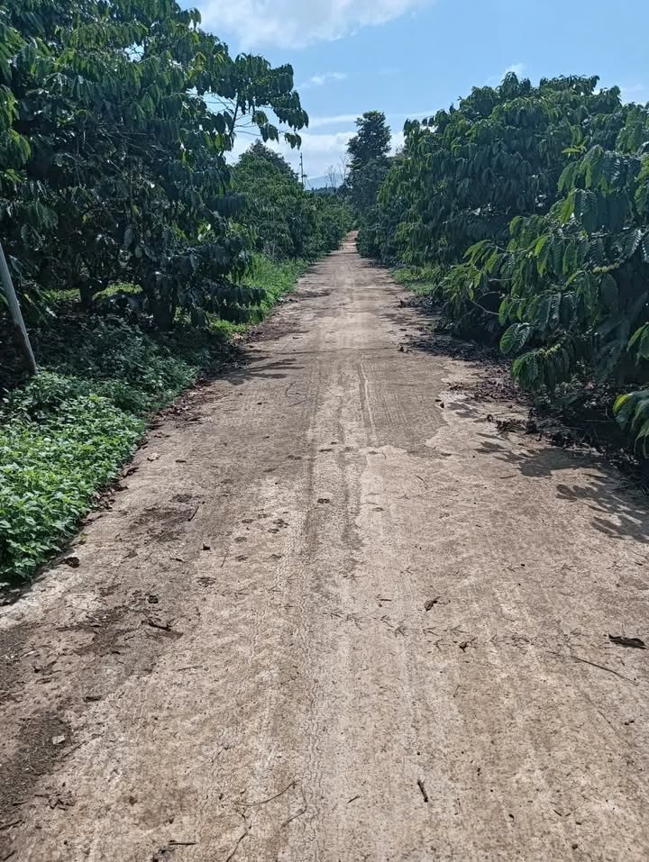 Đất thổ cư Xã Lộc Nga 10,800m² giá 2.5 tỷ - Cơ hội đầu tư hấp dẫn!