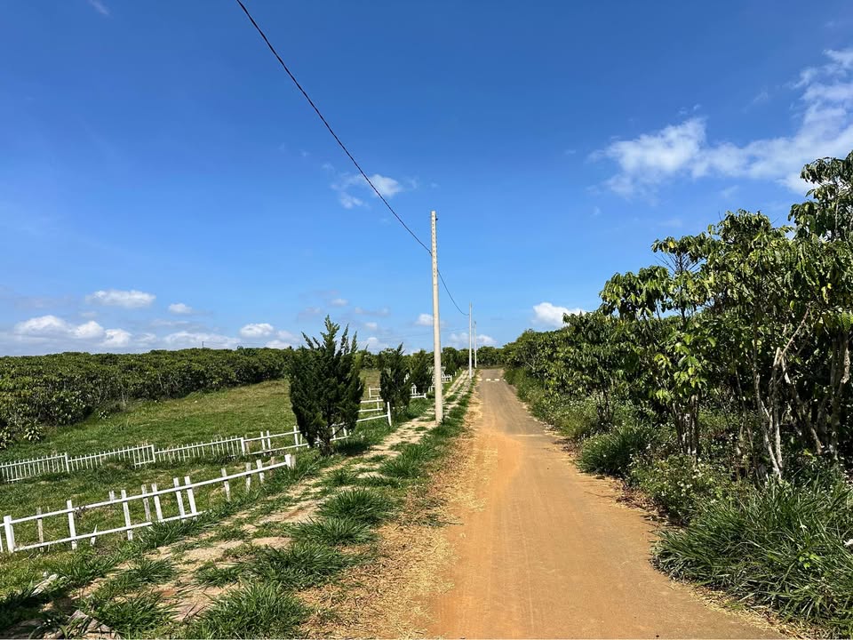 Đất nền Lộc An, Bảo Lâm 105m² giá 580 triệu - Đầu tư sinh lời ngay!