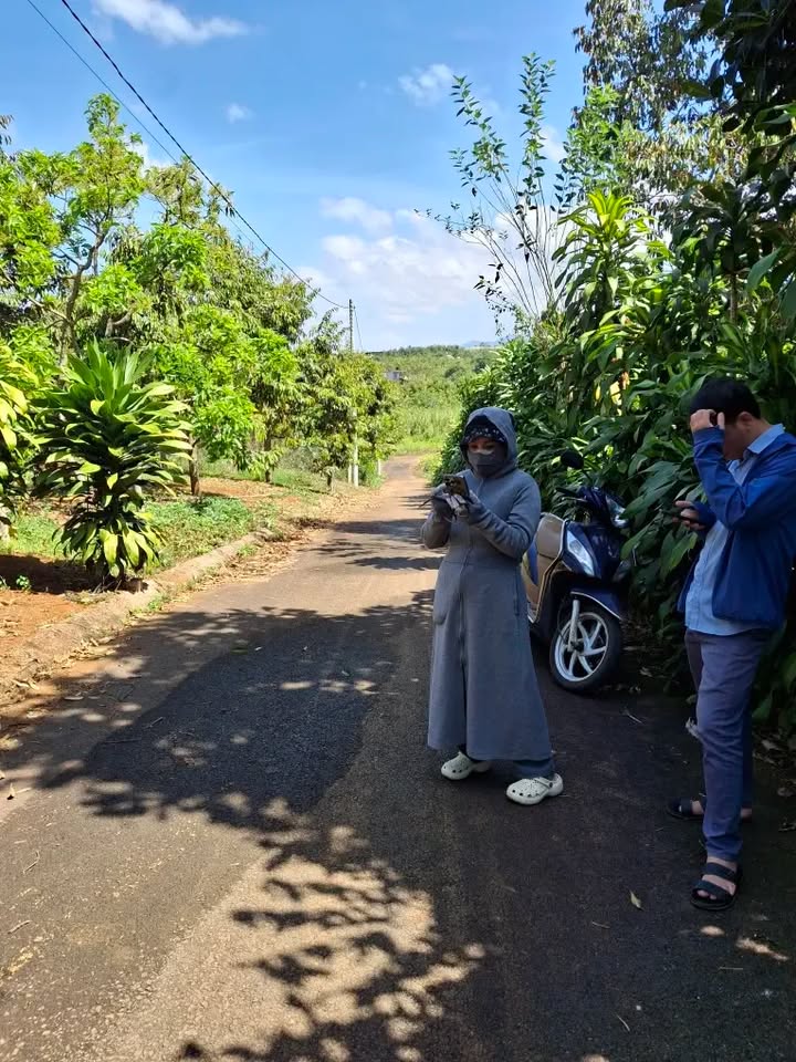 Đất nền xã Lộc An, huyện Bảo Lâm, 80m² thổ cư - Giá chỉ 490 triệu!