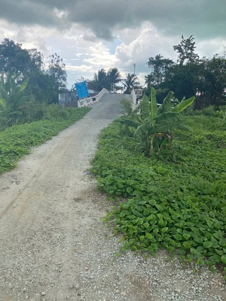 Đất nền xã Bình Thành, Thoại Sơn, An Giang 200m² giá 220 triệu - Cơ hội đầu tư tuyệt vời!