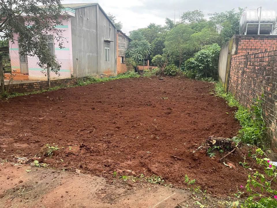 Đất thổ cư 522m² tại Phường Ea Tam, Buôn Ma Thuột - Giá chỉ 820 triệu - Cơ hội đầu tư tuyệt vời!