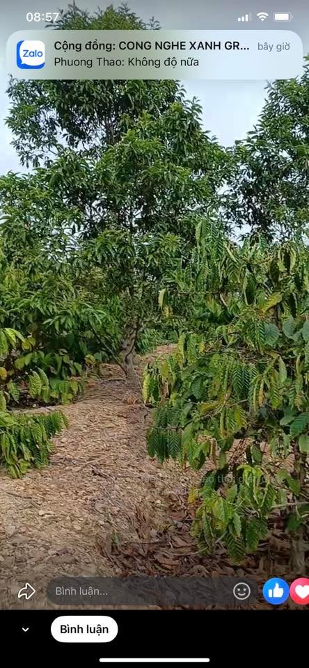 Đất nền Phường Ea Kao, Buôn Ma Thuột 360m² - Giá tốt nhất thị trường!