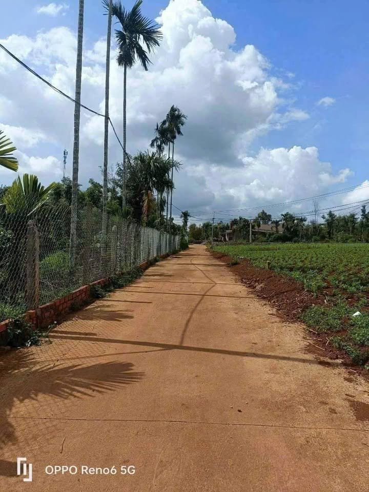 Đất nền Thôn 86, Xã Ea Tiêu, Huyện Cư Kuin, 150m² chỉ 360 triệu - Cơ hội đầu tư tuyệt vời!