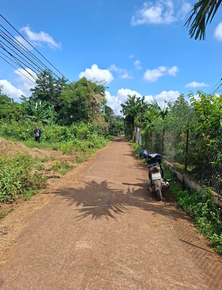 Đất thổ cư Phường Tân Lập 265m² giá chỉ 1.05 tỷ - Vị trí đắc địa gần trung tâm