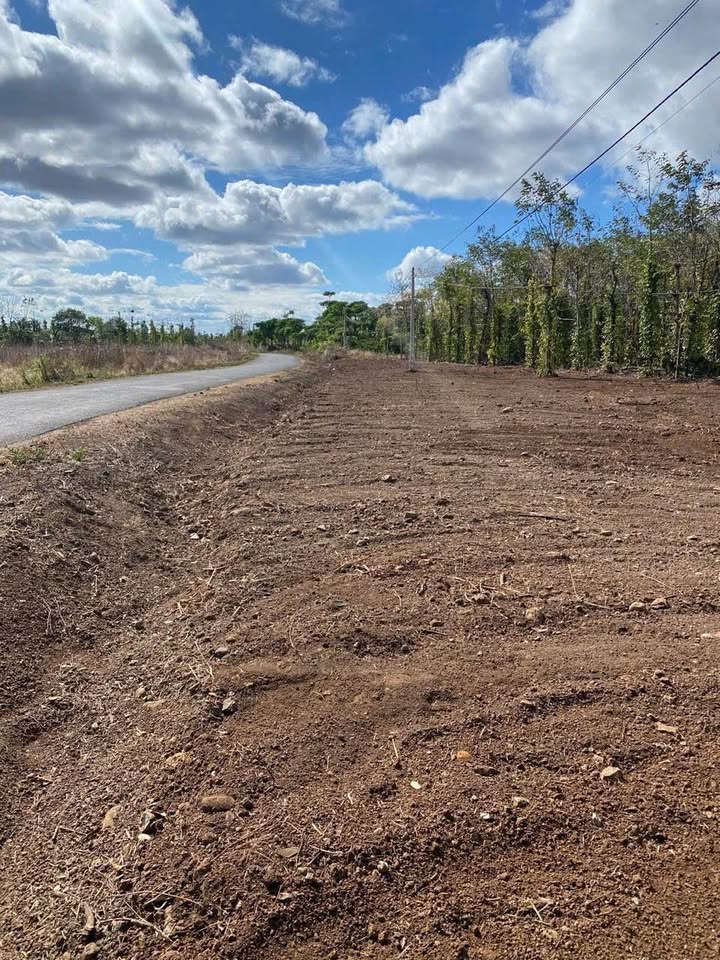 Đất nền 1ha tại xã Hòa Xuân - Mặt tiền 70m, giá 4.768 tỷ - Cơ hội đầu tư tuyệt vời!