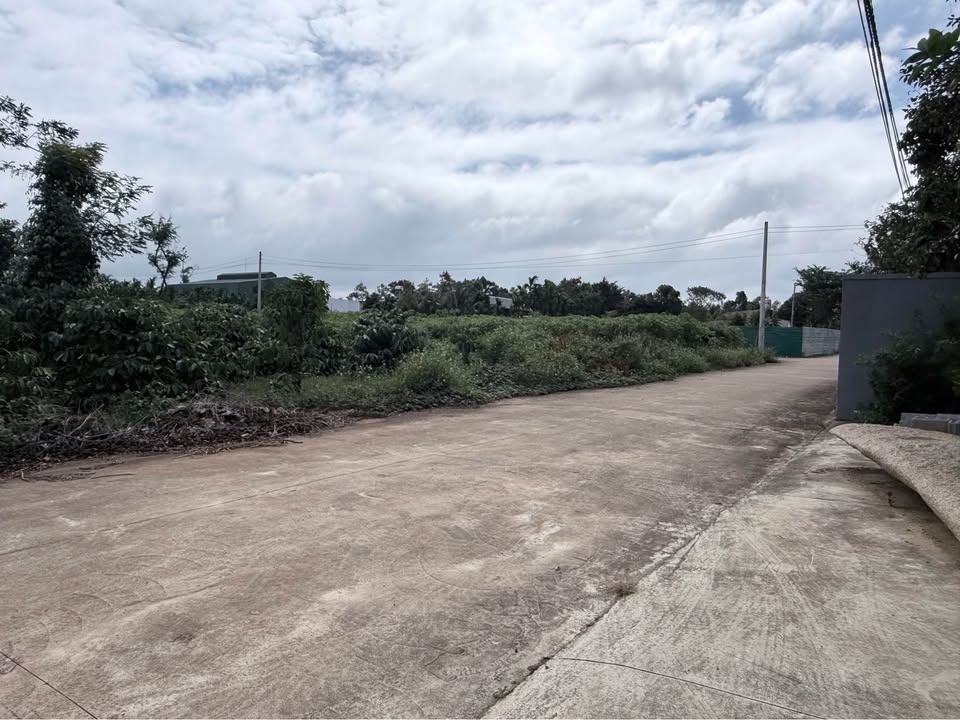 Đất nền Cư Suê, Huyện Cư M'gar, 125m² giá chỉ 1.5 tỷ - Sổ đỏ chính chủ!