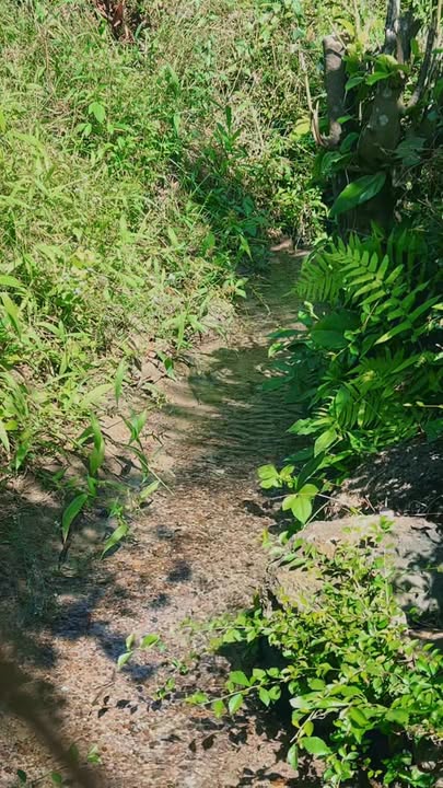 Farm đất 2000m² tại phường Xuân Lập, giá 2.4 tỷ - Sổ hồng chính chủ