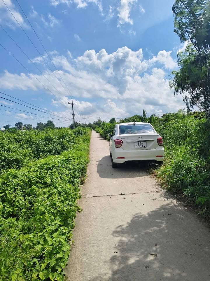 Đất nền mặt tiền đường bê tông xã Thạnh Phú 4551m² - Giá chỉ hơn 10 triệu/m ngang