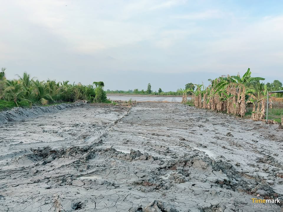 Đất nền Phương Bình, Huyện Phụng Hiệp 600m² giá 320 triệu - Tiềm năng đầu tư tốt!