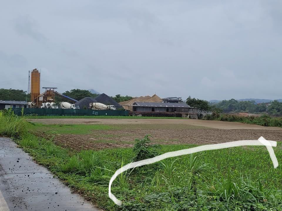 Đất thổ cư Minh Côi, Hạ Hoà, Phú Thọ 176m² - Giá hợp lý, cơ hội đầu tư tốt!