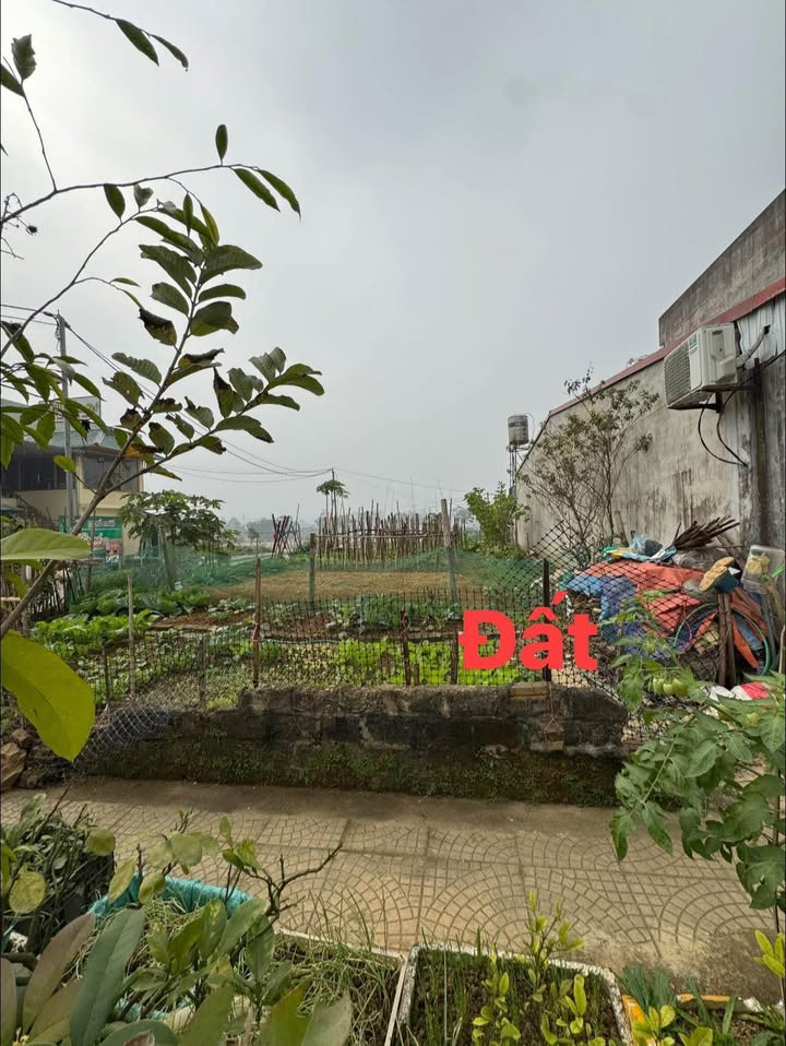 Đất nền Ngã tư cà phê phố núi Huyện Phù Ninh 100m² giá 1 tỷ - Cơ hội vàng đầu tư!