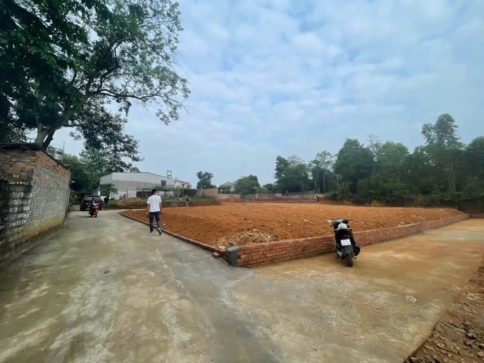 Đất thổ cư mặt tiền 5m tại Thôn Cẩm Đội, Việt Trì 99m² giá 1.2 tỷ - Cơ hội đầu tư tuyệt vời!